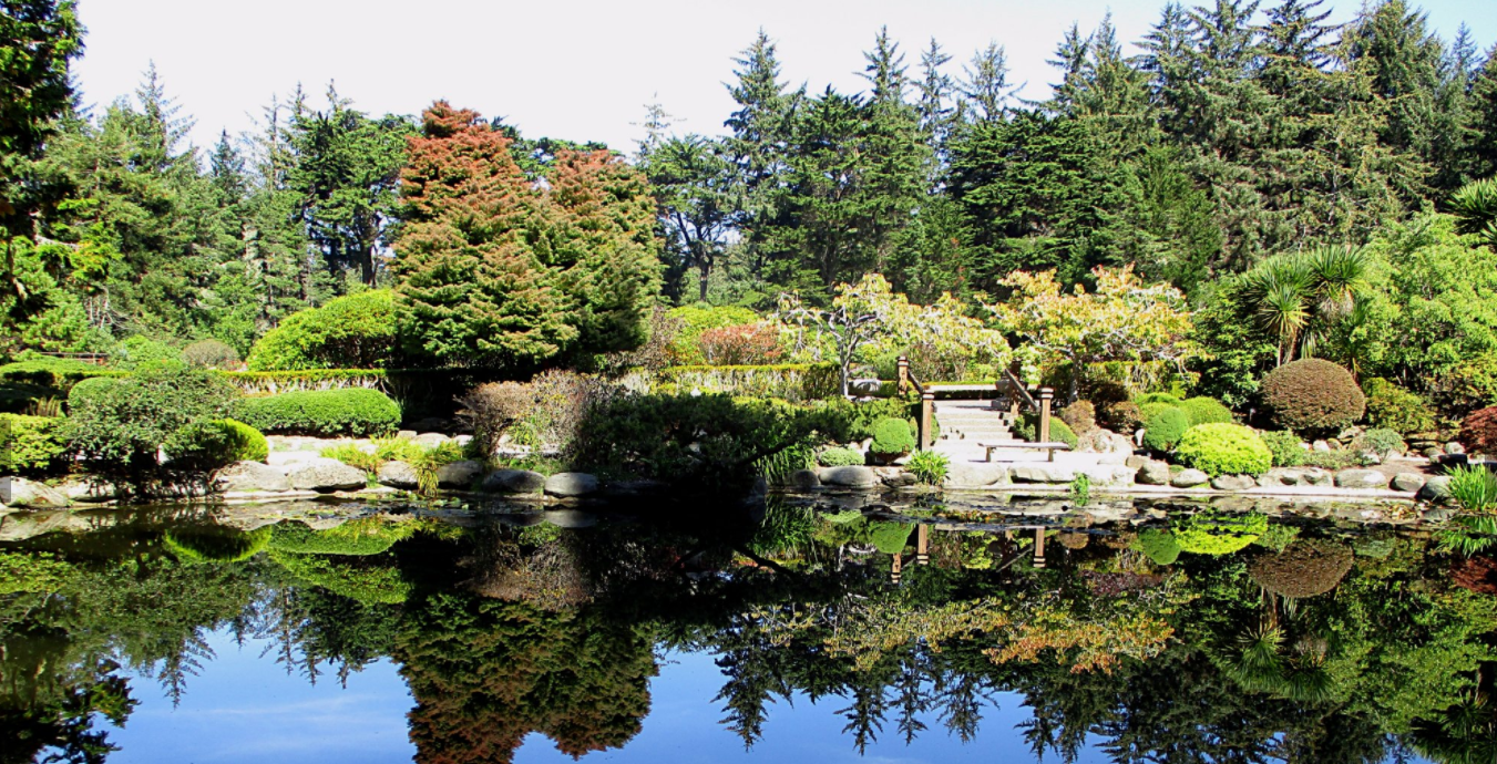 Deep Water Lingcod & Rockfish